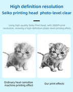 Comparatif de deux portraits de chaton imprimés : rendu d'une machine ordinaire face au rendu 200 DPI annoncé