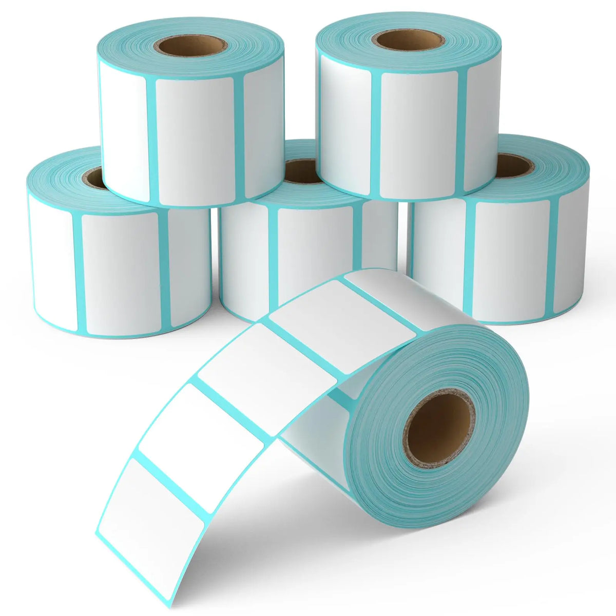 Plusieurs rouleaux d'étiquettes thermiques blanches à liseré bleu, l'un déroulé au premier plan
